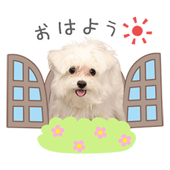 StampNo:5283