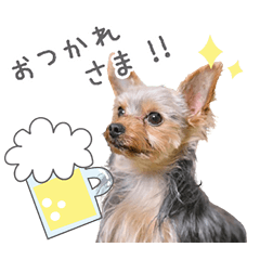 StampNo:5293