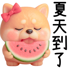 Glutinous rice Shiba Inu