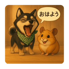 aoi_20250427221825