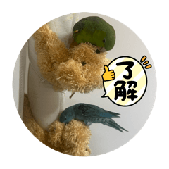 mai_20250427215625