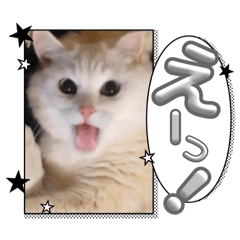 Bibaly1214_20250428104014