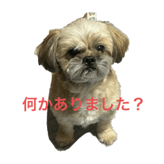 chibi_20250428120335