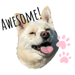 Maro-chan stickers #1