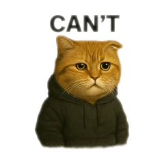 Realistic Cat Stickers_3