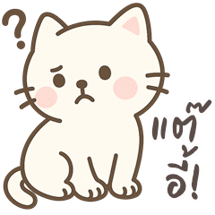 Cougar, Funny Cat (Kum-muang)