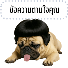 เปลี่ยนข้อความตามใจ: ปั๊กกี้ จอมป่วน