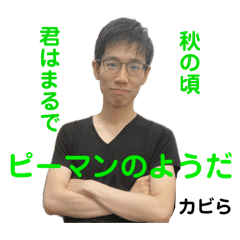 とある船の物語vol7ピーマンに咲くひまわり