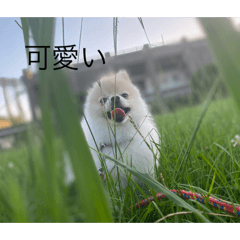 kaito_20250427223003