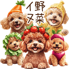 Toy Poodle Veggie Costume Stickers