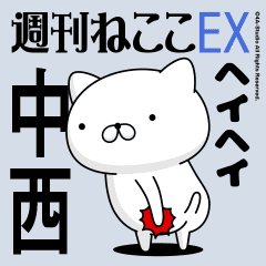Move "Nakanishi" name sticker feature