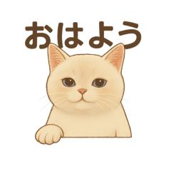 FutenekoMochi