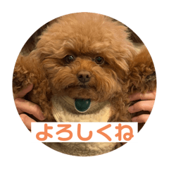 ton_20250428144359