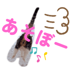 a_20250428143553