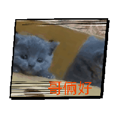 采芸貼圖03