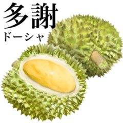 Ripe Durian 10