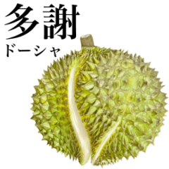 Ripe Durian 9