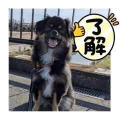 ryo_20250428145223