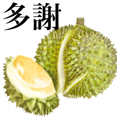 Ripe Durian 12