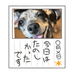 hina_20250428112651