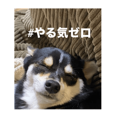 chico_20250428150047