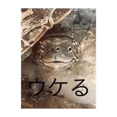 a_20250428151325