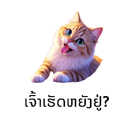 ແມວປາກຍາວ