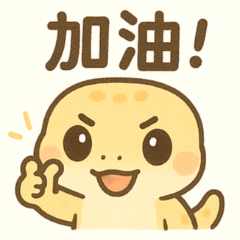 Gecko QQ