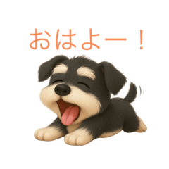 SHIHO_20250427171735