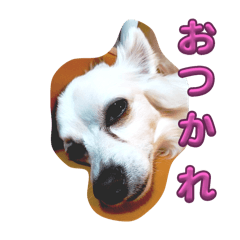 yui_20250428165946