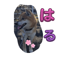 大♡△