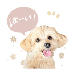 nonnoon_20250428124417