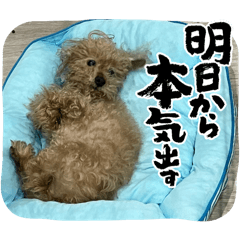 choco_20250428172241