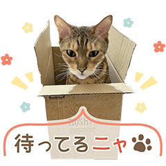 Bellの毎日スタンプ