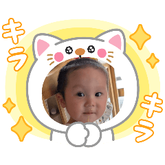 cat_20250428181152