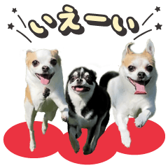 パン♡ペロ♡ポム♡