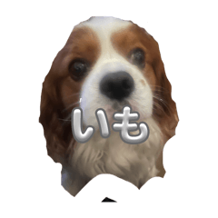 ki_20250428182123