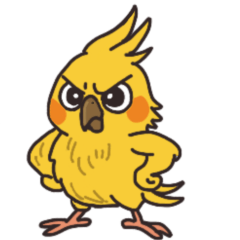 Nymphicus hollandicus chicken3