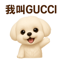 GUCCI's Fluffy Daily Life