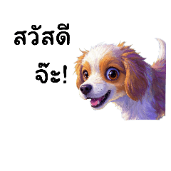 น้ำหวานสุนัขเขตหลักสี่