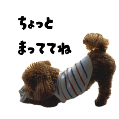 merci and life_20250428183524