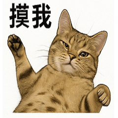 沃夫的日常碎念