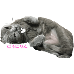 m_20250428175633