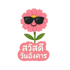 Neko Maew_20250428212856