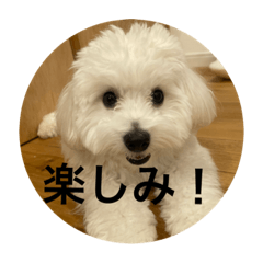 yun_20250428211044