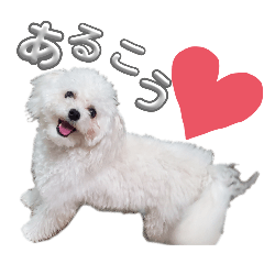 mari_20250428211133