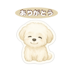 水彩画わんちゃんず-まるちーず