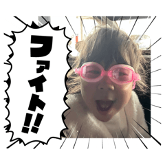 chacha_20250428214820