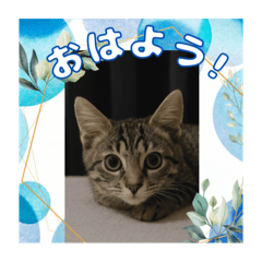 ショウの挨拶part2