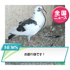 Mika_202504282023225